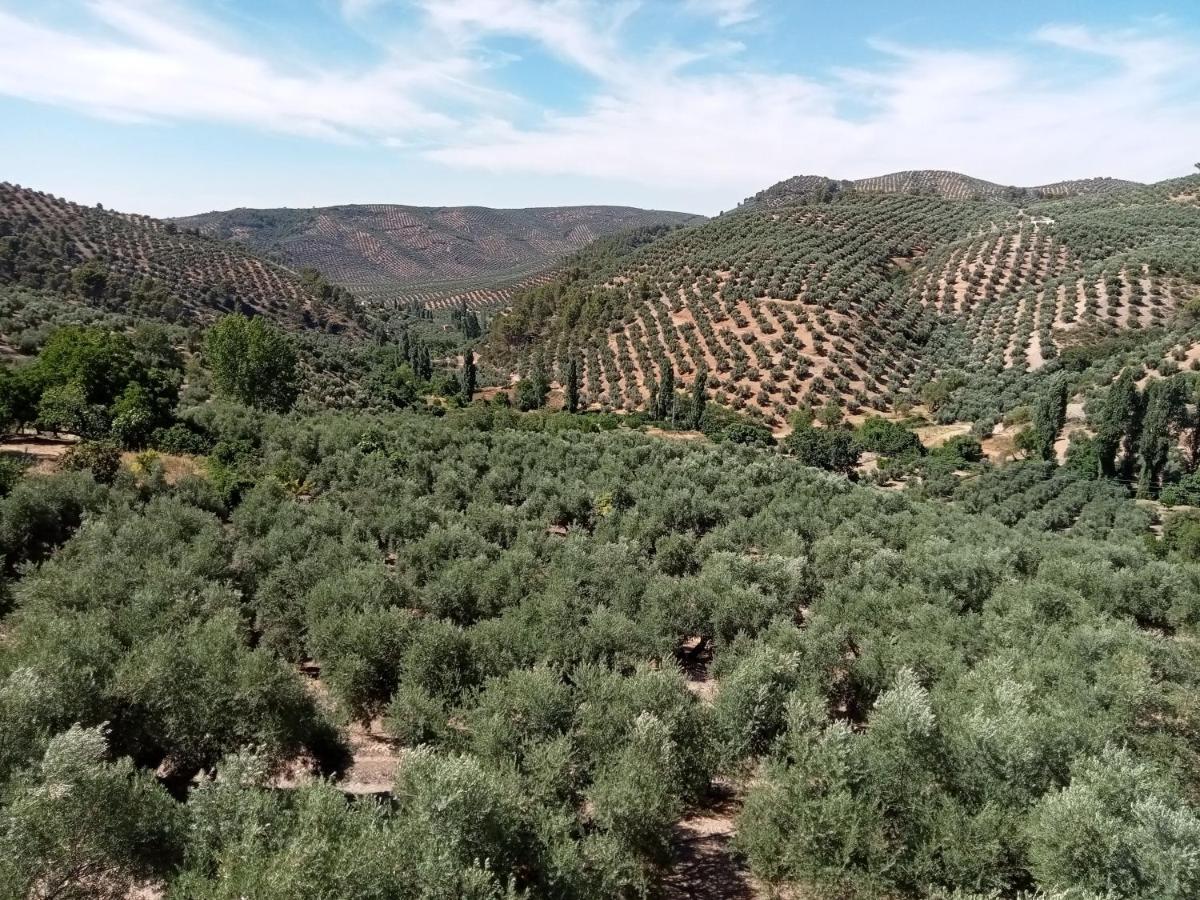 El Almendro De La Tia Teresa Hébergement de vacances Prados de Armijo