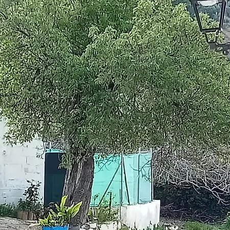 Villa El Almendro De La Tia Teresa à Prados de Armijo Chambre photo