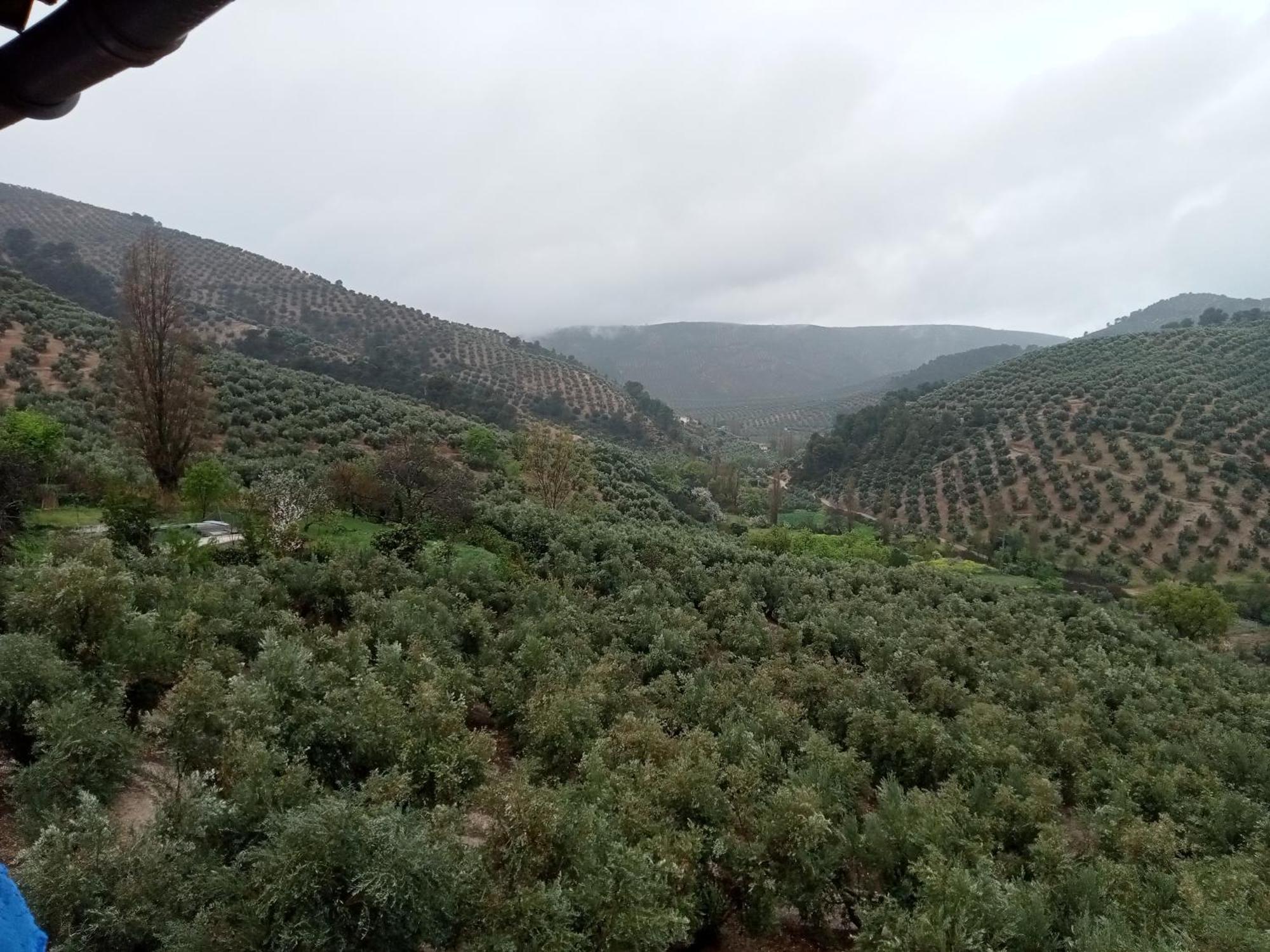 El Almendro De La Tia Teresa Vakantiehuis